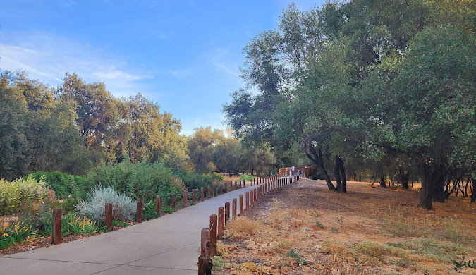 Roofing Contractor in Citrus Heights, CA